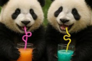 中国人「日本のこの二つの飲み物の味の違いを教えて」　中国人「明確に違う」「大した違いは無い」「これが美味しいよ！」
