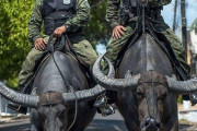 ブラジルは他の国とは一味違うんだと画像で証明していく！