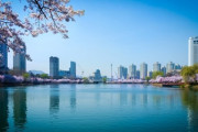 韓国人「韓国人は自国を卑下しすぎ！韓国は日本よりもよっぽど住み良く観光もできる国です！！」