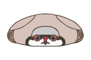 日本のイワシャコの自然な姿を撮ろうとした結果→めちゃくちゃキメキメなのが面白いｗｗｗ【タイ人の反応】