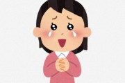 海外「すごく素敵だね！」日本語でしか表現できない言葉
