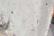 【画像】発掘されました