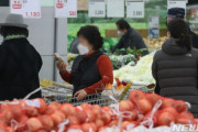 韓国紙「物価に追いつかない所得、ため息が深くなる庶民経済 "物価10年で最大上昇"」韓国の反応