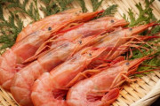 エビを生で食べた60代男性…「ビブリオ敗血症」で死亡＝韓国の反応
