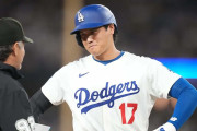 場外で大谷翔平のホームランを待つ動物に全米騒然！←「みんなが欲しがる」（海外の反応）