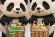 中国人「日本のコンビニ、種類が多すぎて迷ってるもの」　中国人「日本と言えばこれ」「これは高いけど美味しいよ」