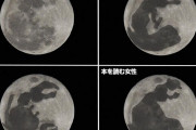 海外「おい、日本人は月の模様がウサギに見えてるらしいぞ」