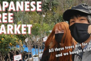 見ているだけで楽しい！日本の植木まつりを紹介！！外国人「日本には美しい植物が沢山あるね！」