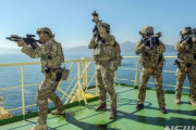 ホルムズ派兵はK-POPと韓国車が好きなイランに対する裏切り行為…イラン在住韓国人、派兵に反対＝韓国の反応