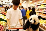 中国人「日本のスーパーで見かけた不思議なもの。これは一体何に使うの？」　中国人「小さい靴下」「レミーのおいしいレストラン」