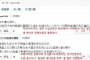 韓国人「日本人が嫌韓感情を煽動！」ハンガリー遊覧船沈没事故を見た日本人が「韓国人はハンガリー大使館の前に銅像を作る」と慰安婦に言及して嘲笑！　韓国の反応