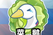 海外「中国のソーシャルメディアでロシアには『弱いガチョウ』というニックネームがついているようだ」