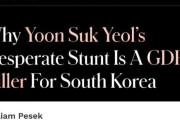 韓国人「米経済誌が衝撃分析！韓国は失われた10年に突入？」コリアディスカウントの真相とは 韓国の反応