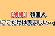 【朗報】韓国人「日本のここだけは本気で羨ましい…」