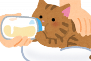 外国人「子猫に日本食の名前つけたいんだけどいいのない？」（海外の反応）