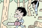 韓国人「親日の象徴桜の木は切り倒さないの？日本産のミカンの木は？」日帝植民残滓「イブキ2157本が無慈悲に切り倒される可能性　韓国の反応
