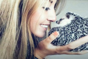 世界一かわいい冒険の始まり。ハリネズミと女性と子猫