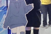 外国人「ほとんど2次元だろって女性を発見してしまった…」