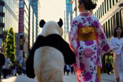 中国人「日本人にとって和服はどのような意味を持つのだろう」　中国人「漢服よりも普及度は高い」「専門の職業もあるらしい」