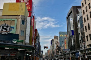 大阪で30分間で8件の事故を起こした女性に世界が騒然！←「GTAかな」（海外の反応）