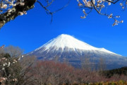 韓国人「日本がリアルにうらやましい点」