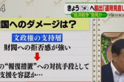 韓国人「日本は精密に計算して韓国を攻撃している」日本が韓国人のビザの要件を強化する報復する兆しを見せる　韓国の反応