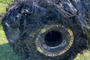 空から落下した毛むくじゃらの謎物体の正体は？（アルゼンチン）