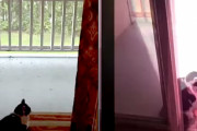 雷雨の日にベランダで外を眺めていたニャンコの近くに雷が落ちてビックリ！