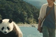 中国人「京都の鴨川にこんなのがいた。これは驚いた」　中国人「水質が極めて良好」「食べられる？」