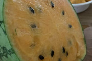 外国人「パラレルワールドかと思った普通じゃない物を見せていくｗｗｗｗ」