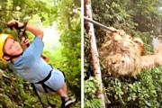 少年「ん？何かいるなぁ」。少年がロープにぶら下がるナマケモノと衝突！(コスタリカ)