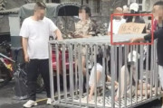 韓国人「やっぱり中国…驚きもしない」中国で再生数稼ぎのフェイク動画が横行、当局が厳しく取り締まり