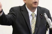 海外「日本に『馬鹿みたいに子供を生む民族は虐殺しよう』とか言っているマイナー政党がいるぞｗｗｗ」