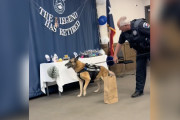 【海外】「K-9警察犬の最終日、感動のサプライズが実現！その甘い瞬間とは？」