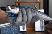 韓国人「海釣り界のネクロマンサー」