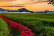 海外「わー！素敵な景色！まるで絵のようですね！」日本の秋の風景（海外の反応）