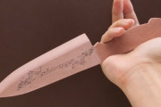 【海外】「錬金術だ！」「才能溢れすぎ！」菌から包丁を作ってしまう日本人に海外から驚嘆の声が殺到