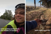 自転車旅行中の女性に保護された子猫。旅を満喫した後に待っていた新しい人生とは？