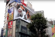【動画】「東京に3D巨大ディスプレイが出来るらしい！」テスト動画も公開【海外の反応】