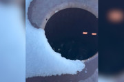 【海外】「ゴミ袋から聞こえた悲鳴…凍てつく動物の運命を救った写真家の感動の瞬間」