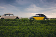 日本の車が「草ｗｗｗｗｗｗ」草の意味を知って草を生やすタイ人の反応
