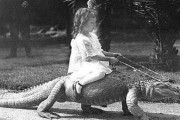 外国人「100年前の日常が感じられる歴史写真を見せていく！」