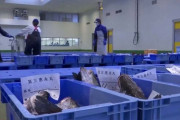 日本、水産物輸入禁止と韓国のCPTPP加入を結びつけようとする動き＝韓国の反応