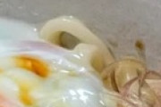 自宅でBKうどんを食べたよ←「俺も呼んでくれ！」（海外の反応）