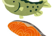 「もしサーモンと会話が出来たら…たぶん困る」知らないほうが良いことの例