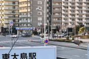 韓国人「1960年代に完工した東京のマンション団地を見てみよう」