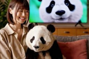 中国人「日本のテレビ番組での中国語の問題、みんなこの単語、知ってた？」　中国人「人生で初めて聞いた」「日本語だと思ってた」