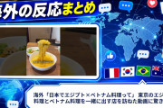 海外「日本でエジプト×ベトナム料理って」 東京のエジプト料理とベトナム料理を一緒に出す店を訪ねた動画に驚きの声