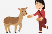 海外「日本のこういうところが好き」「アメリカより可愛い」奈良の名物といえば