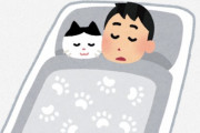 海外「全部行っていい？」「添い寝カフェに行きたい」日本の様々なコンセプトカフェを外国人が知ったら
